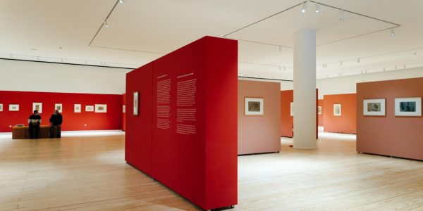 Réussir l’agencement de vos expositions grâce aux cloisons modulaires innovantes